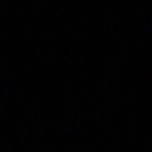 Meet your Posher, Riley